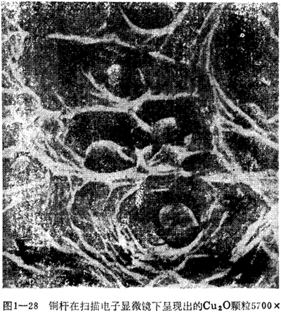 銅桿在掃描電子顯微鏡下顯現(xiàn)出的Cu2O顆粒 5700×